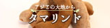 タマリンドバナー
