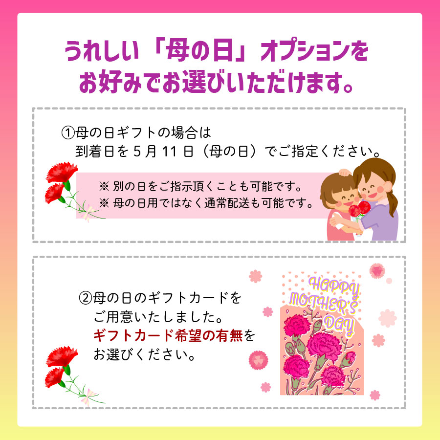母の日カレーセット