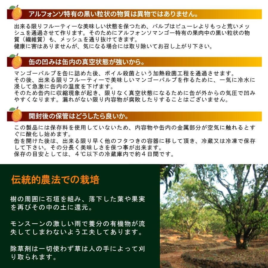 Vijayアルフォンソマンゴースライス
