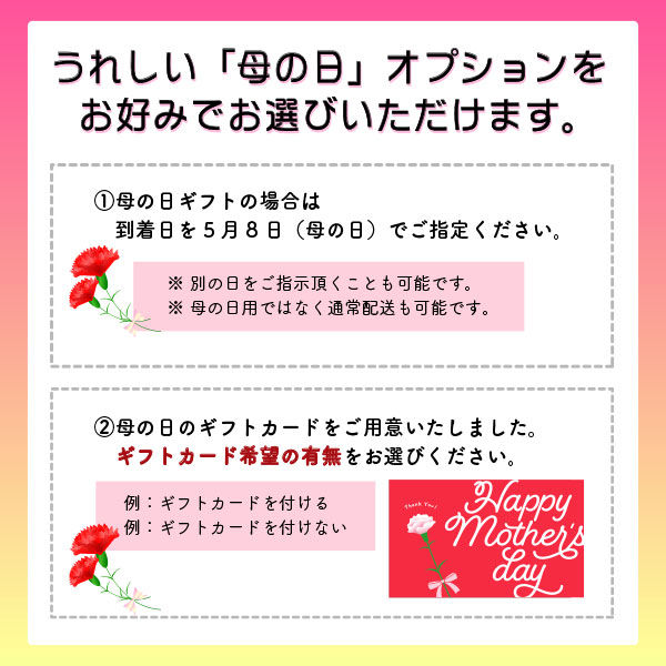 母の日選べるオプション