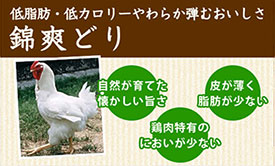 錦爽どり