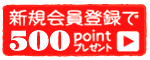 新規会員登録で500ポイントプレセント