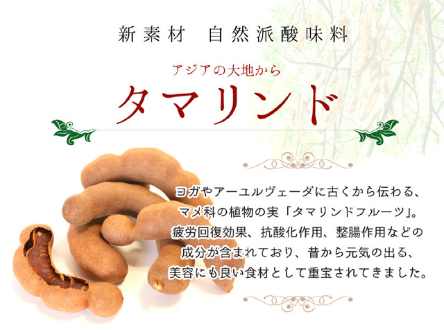 自然派酸味料 タマリンド